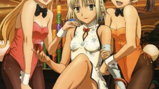 [动漫][资源][ANK-Raws] 迦南 カナン CANAAN 1080P