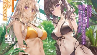 [轻小说][资讯]轻小说《玩玩的恋爱关系》释出第 3 集发售纪念宣传影片 上田丽奈 出演配音