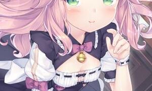 [游戏][资讯][手游]《猫娘乐园 世界连结》正式上线 公开猫娘卡池共 39 名角色