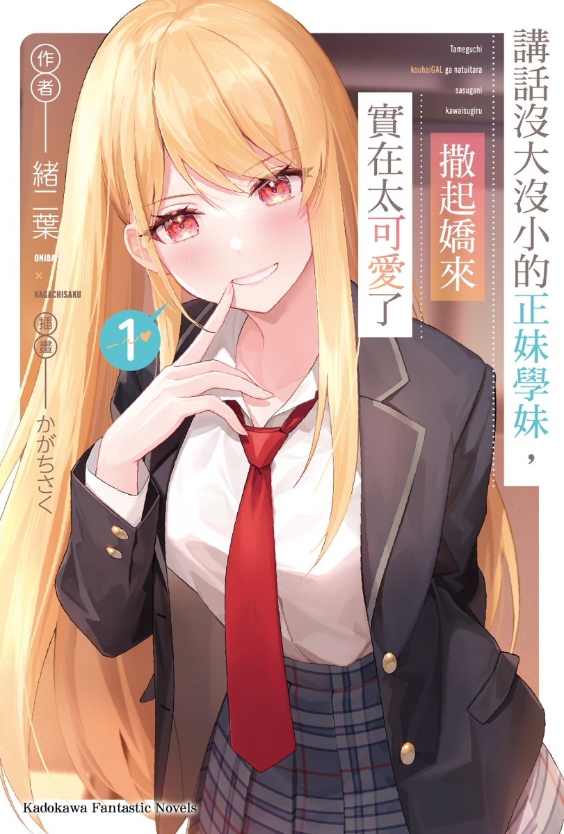 中文版轻小说书封 image