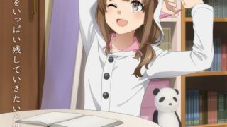 [动漫][资讯]动画《青春猪头少年系列》“回忆视觉图”企划第 7 弹 梓川花枫 视觉图和影片公开！